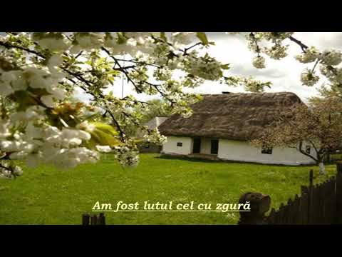 Iosif Câmpean - Am fost lutul cel cu zgură (LIVE)