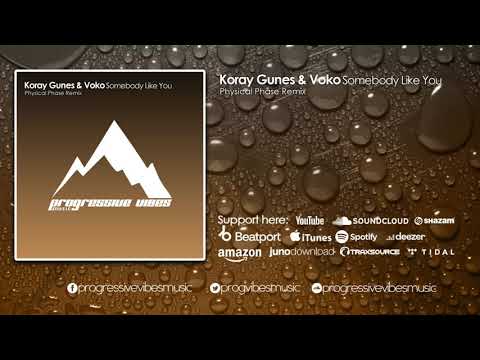 Koray Gunes, Voko - Somebody Like You (Physical Phase Remix) [Progressive Vibes Music - PVM341]