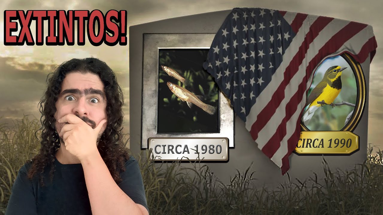5 ANIMAIS EXTINTOS PELO SER HUMANO NOS EUA (parte 1) (#Pirula 366.3)