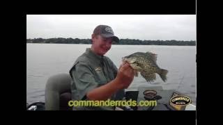 Rapala ultra light shad