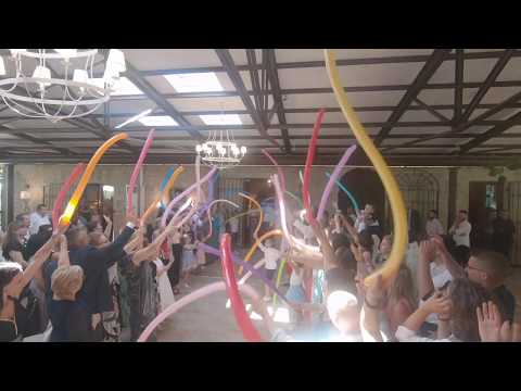 come intrattenere gli invitati - matrimonio travolgente - balli, animazione matrimoni abruzzo