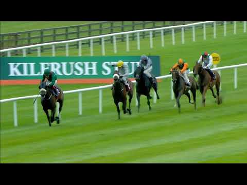 Lot 4 Massif Central Goffs Champions Sale 2017