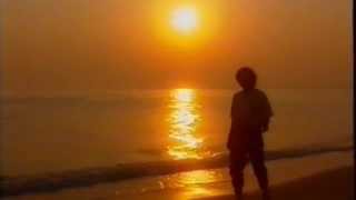 Flippers,Weisse Taube, Paloma