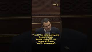 Կուզեի՝ հայ երիտասարդները Ադանան որպես քաբաբ չճանաչեին, այլ հայրենիքի մի մաս․ Նարեկ Կարապետյան