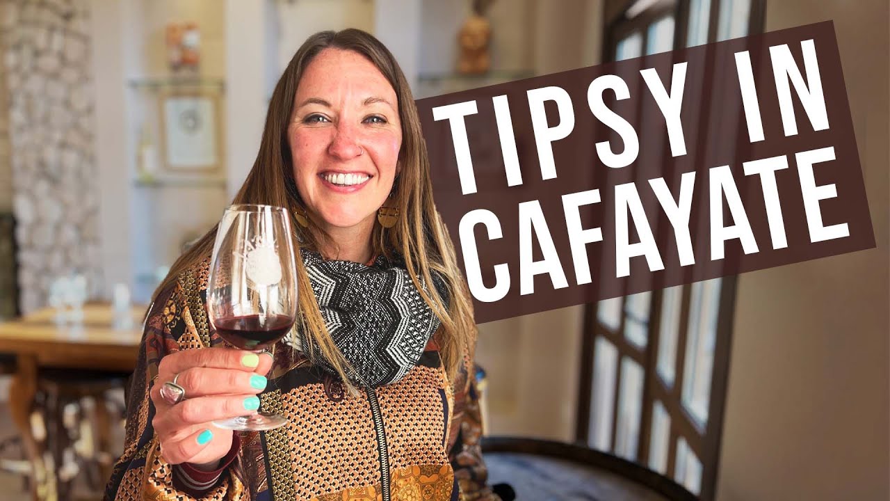 Find Your Perfect Escape in Cafayate: An Undiscovered Paradise for Wine Lovers