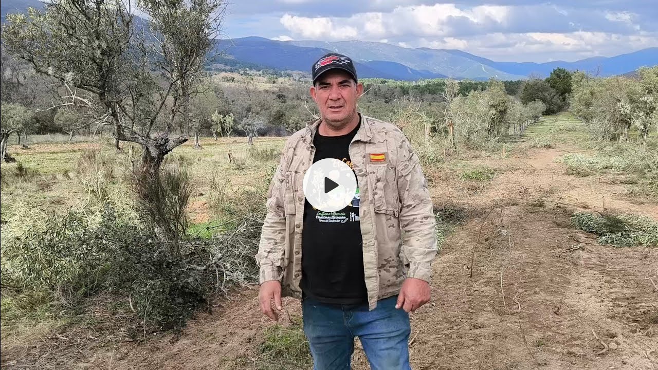 Así llevo la selva de olivos, atacan a mi hija Nazaret