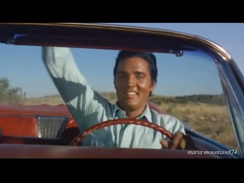 Elvis Presley  - Stay Away  (take 14) (screen from the movie ) [CC]