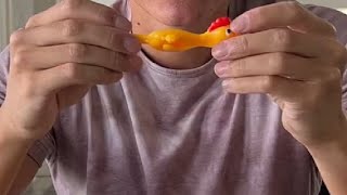 Sumind 16 Pack Slingshot Chicken Rubber Chicken Flick Chicken Flying Chicken Flingers