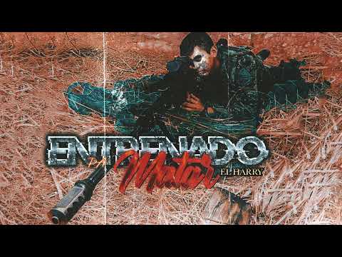 MR TYSON - ENTRENADO PA MATAR (EL HARRY)