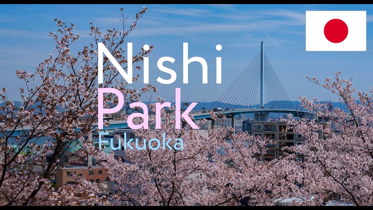 Discover the captivating highlights of Nishi Park.