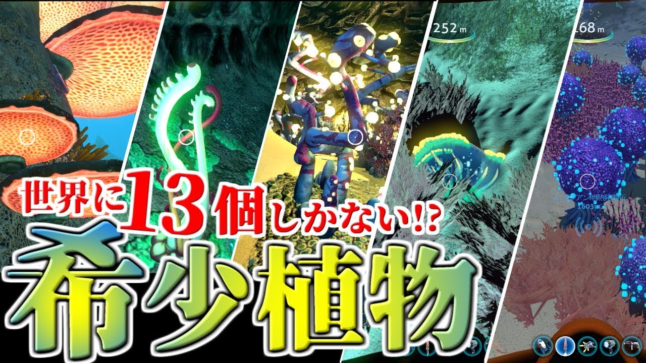 【サバイバル実況】世界に13個しかない希少植物を探した結果…!!!:Part22【Subnautica】
