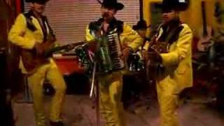 TITANES DE DURANGO TU VIRGINIDAD EN VIVO
