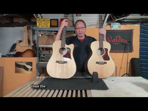 Dreadnought vs Grand Auditorium | Luthier Explains Acoustic Guitar Body Shapes