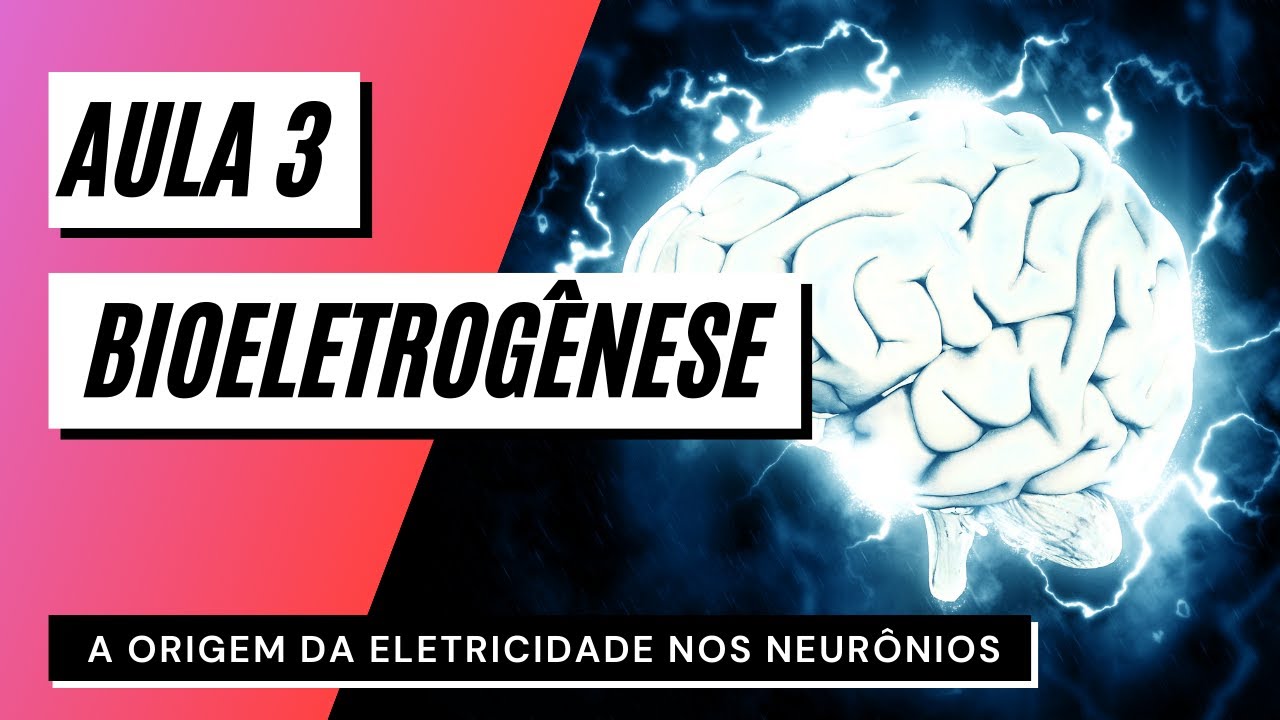 Videoaula 3 Bioeletrogênese