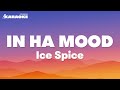 Ice Spice - In Ha Mood  (Karaoke Version)