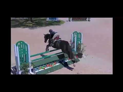 Nothing Compared D video 2
