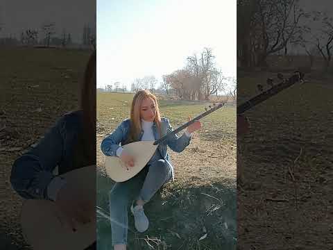 Şu Dersim'in Yolu Dardır..