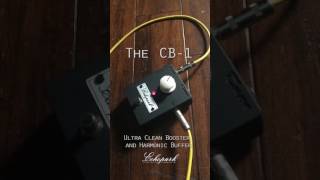 Video thumbnail for The CB 1 by Echopark Instruments by Echopark Guitars