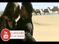 Zalima Song Dilwale