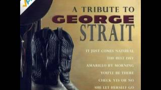 George Strait - Honk If You Honky Tonk.