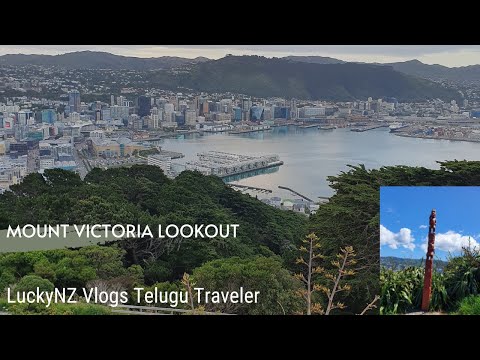 Mount Victoria Lookout | Wellington NZ | LuckyNZ Vlogs |