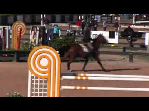 Video of DORALISE BG ridden by GERRIT NIEBERG from ShowNet!