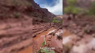 Sturzflut überflutet Phantom Ranch im Grand Canyon: über 20 Menschen vermisst