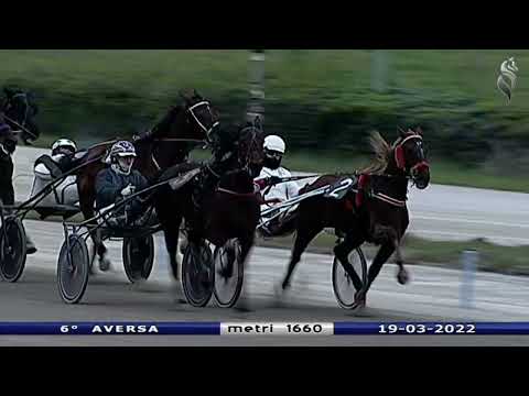 Aversa trotto 19 Marzo 2022 - 6° Corsa