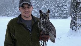 In the words of a Wisconsin Falconer