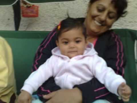 RODINA CICAKOVCI A FAMILY