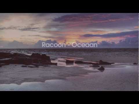 Racoon - Oceaan (uit de film 'Alles is Familie')