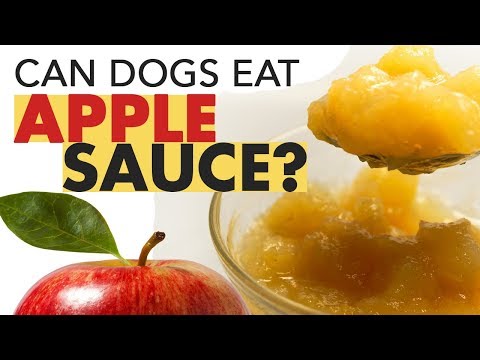 download lagu mp3 mp4 Can Dogs Have Applesauce, download lagu Can Dogs Have Applesauce gratis, unduh video klip Can Dogs Have Applesauce