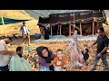 Parsa Circumcision Party Why Do Iranian Nomads Make Vows After Circumcision Of Boys