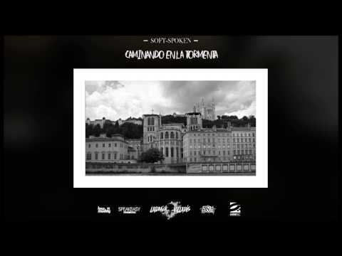 Caminando en la tormenta