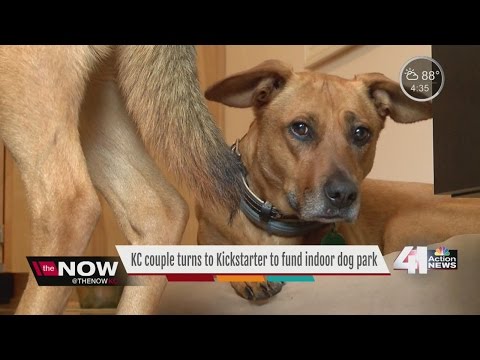 カンザスシティの夫婦が屋内ドッグパークに資金を提供するためにキックスターターに乗り出す