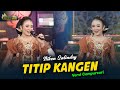 Niken Salindry Titip Kangen Kembar Campursari Official Music Video