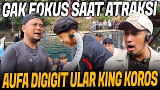 Download lagu WARGA MAJALENGKA PANIK!!AUFA KENA GIGIT ULAR KING KOROS SAAT PELEPASAN IKAN KOI  mp3