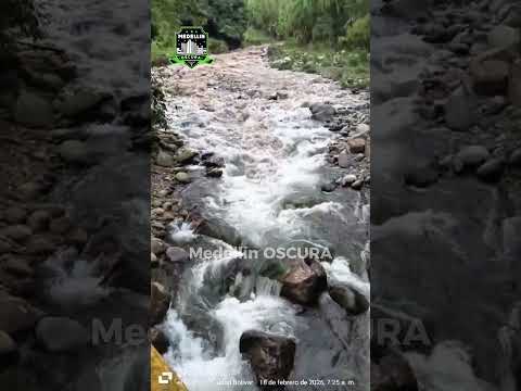 Creciente del Río Farallon en Ciudad Bolívar Antioquia generó preocupación y arrastró dos bovinos