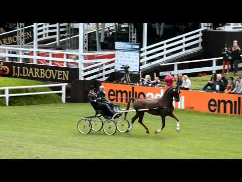 Hamburger Derby 2015