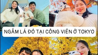 Ngắm siêu phẩm mùa thu lá vàng cùng nhà bé Gà