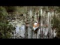 LeAnn Rimes - Please Remember - The Notebook ...