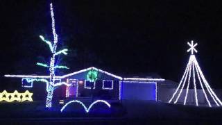 Lights At Schally's - I'm Gettin Nuttin for Christmas - 2015