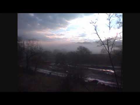 Tinsley Ellis - Feelin' No Pain