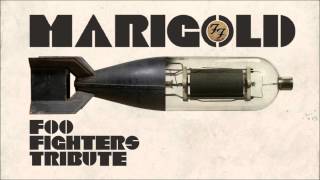 Marigold - Foo Fighters Tribute Band