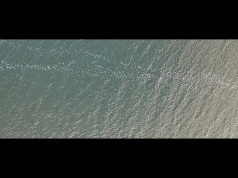 Saint Raven - The Tide (Official Music Video)