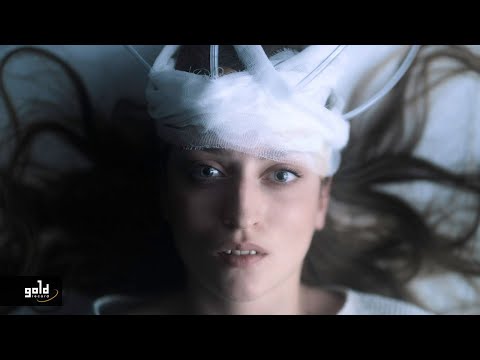 Gold Record Hungary and Honeybeast