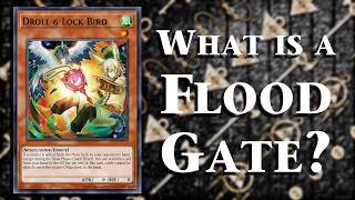 A Complete Terminology Guide to Yu-Gi-Oh!