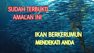 Download lagu AMALAN MENGUNDANG & MEMANGGIL IKAN AGAR BERKUMPUL mp3 Download lagu AMALAN MENGUNDANG & MEMANGGIL IKAN AGAR BERKUMPUL mp3