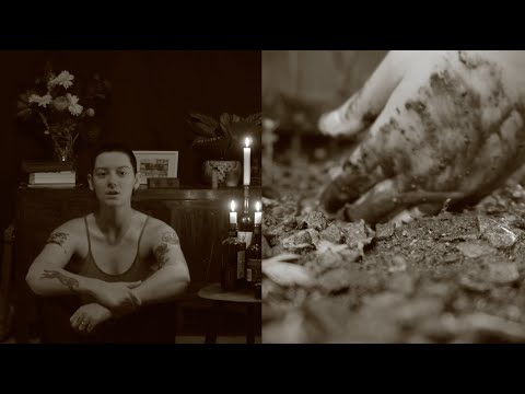 Cynics Song - Jealous of the Birds