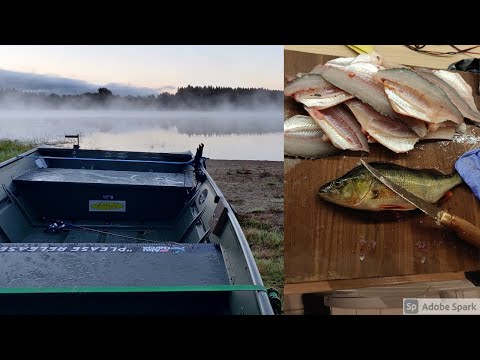 KALASTUSVIDEO | HAUKEA AHVENTA JA KUHAA |